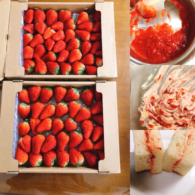 みんなの投稿の画像