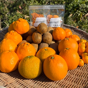 [送料500円引]キウイ・柑橘他 8種 フルーツセット 5kg