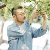 林慎悟 | 林ぶどう研究所