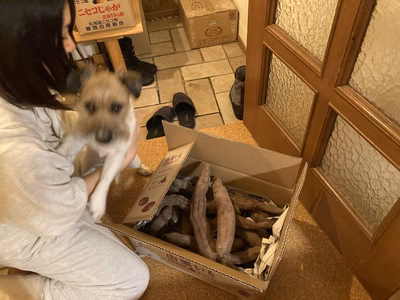 みんなの投稿の画像