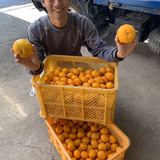 内田裕人 | 我夢舎羅村