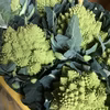 【川上農園】『世界一美しい野菜』ロマネスコ 小 2個♪ 
