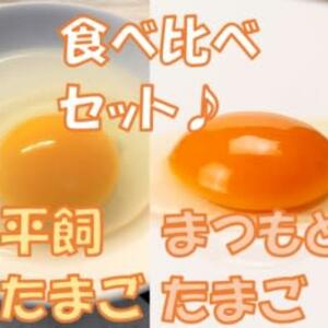 【食べ比べセット♪】平飼い20個・まつもとたまご40個(ゆうパック対応)