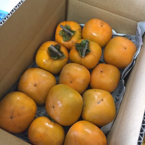 吊るし柿セット紐付き※渋柿です※