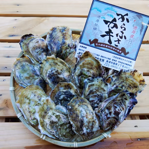 【早い者勝ち・限定４０箱】大人気！！規格外・豆牡蠣　