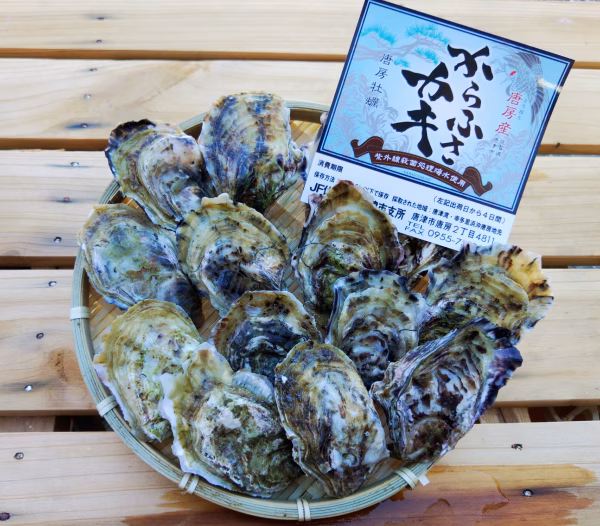 【早い者勝ち・限定４０箱】大人気！！規格外・豆牡蠣　