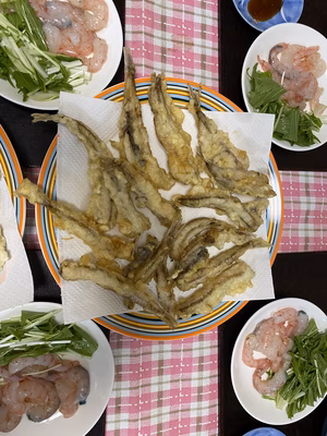 みんなの投稿の画像