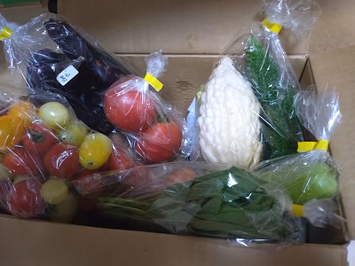 みんなの投稿の画像