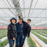 田渕善昭 | BUTTOBI BERRY ORGANIC