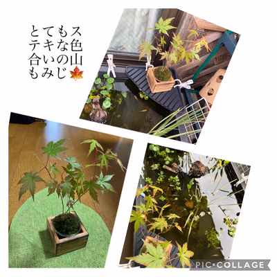 みんなの投稿の画像