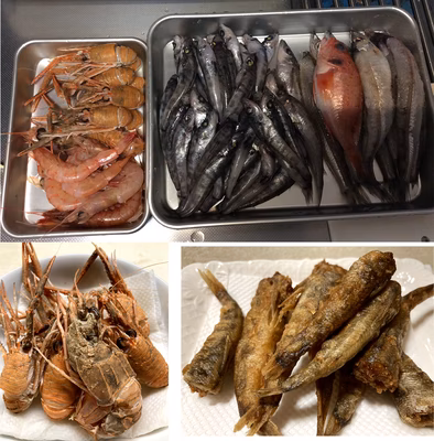 みんなの投稿の画像