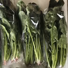 ほうれん草10袋入り　3kg入り