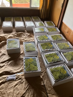 みんなの投稿の画像