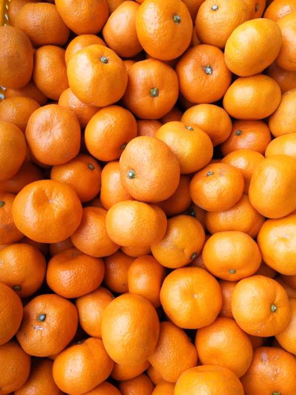 【蔵出し】青島みかん　小玉「2Sサイズ」　箱入り