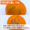 秋が旬！『早みかん』【わけあり】