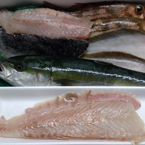 白神前浜鮮魚、おまかせセット‼️