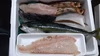 白神前浜鮮魚、おまかせセット‼️