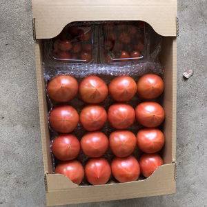 ミニトマトセット　4kg