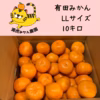 愛情たっぷりで育った有田みかん★温州みかん秀品LLサイズ　約10kg