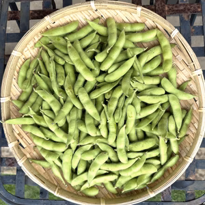 【猛暑の日はコレ】美味しい枝豆(湯上がり娘)200g×4パック