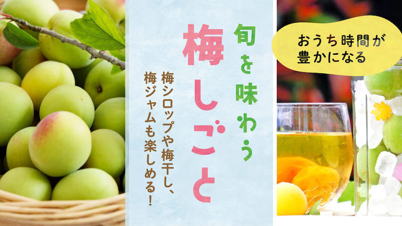 値下げ！梅。大梅。７キロ。無農薬。広島県産。サイズ混。家庭用。