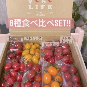 【今週は限定2箱！】甘い旨い8種類食べ比べSet！！