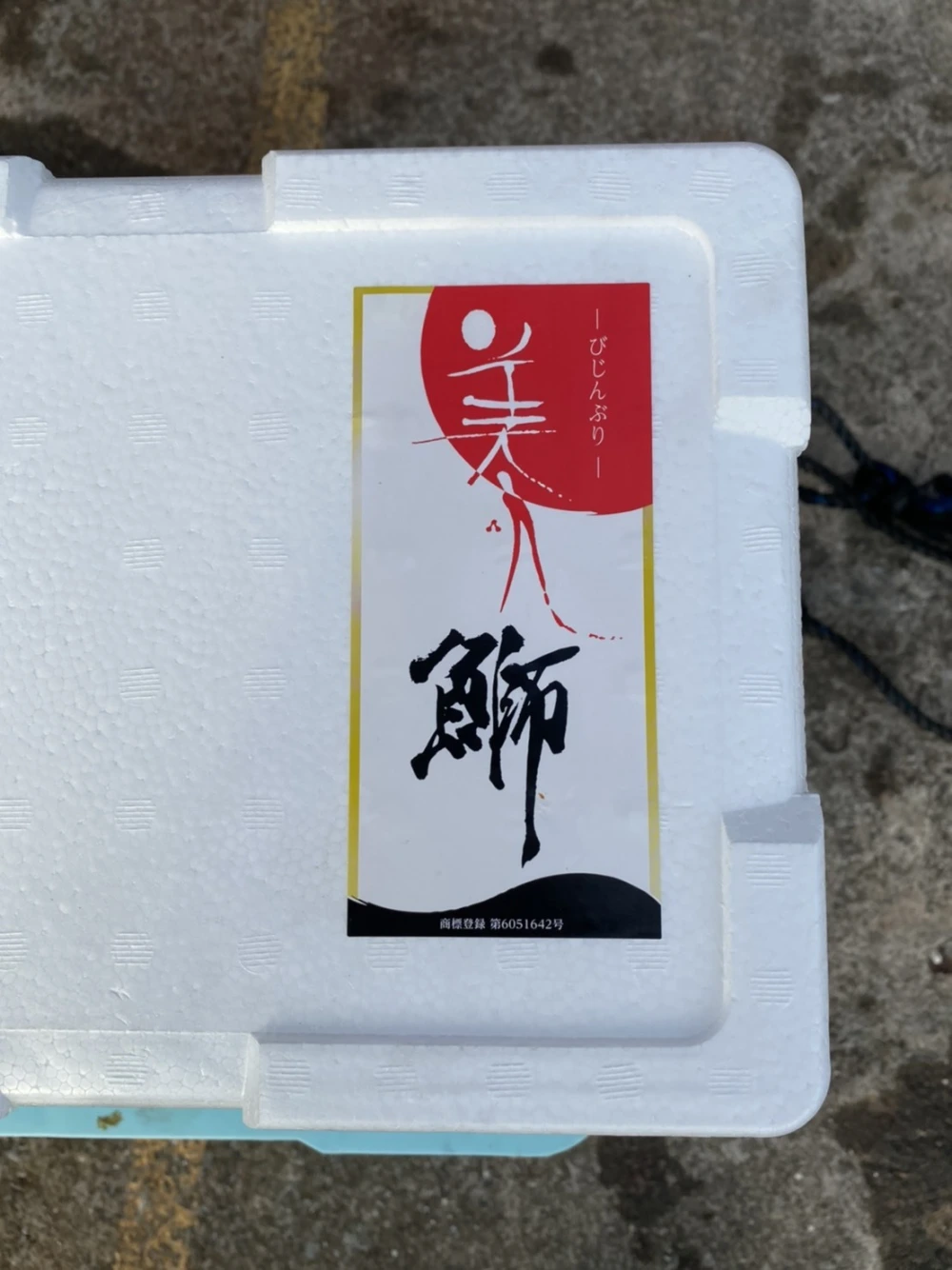 日本酒の酒粕を食べて育った　美人鰤(びじんぶり)　ラウンド(丸一本)
