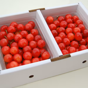 〈予約商品〉さくらんぼ【佐藤錦】秀1ｋｇ　全国へお届けいたします