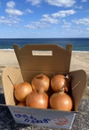 　淡路島玉ねぎ！歩玉ねぎ3kg 即日出荷可❗️