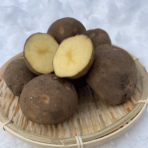 越冬キタアカリ10kg 訳あり 2025年収穫！糖度UP