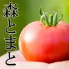 宮崎県産　フルーツトマト　5kg入　大きさは様々