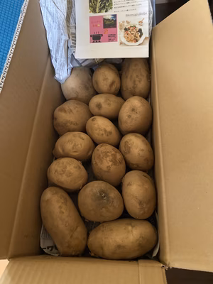 みんなの投稿の画像