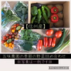 【信州産】季節のお野菜詰め合わせ \かぼちゃも選べるよ/