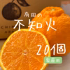 不知火　5キロ20個　家庭用