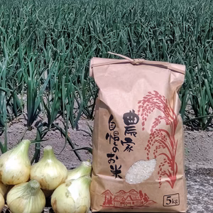 【昨年大好評】減農薬栽培キヌヒカリと淡路島産玉ねぎ セット