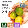 【栽培期間中農薬不使用・希少品】熊本産ライム（ワケあり）