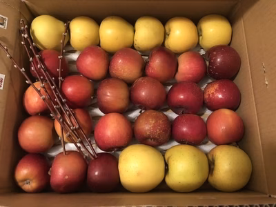 みんなの投稿の画像