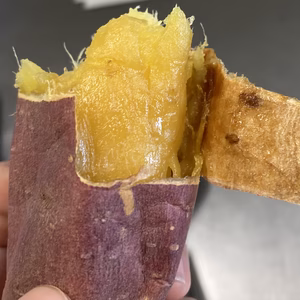 鳥取大山のしっとりあま〜い熟成紅はるか 3~20 kg