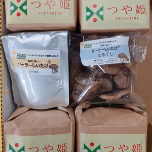 在庫処分セール！！乾燥しいたけ＆庄内産つや姫セット