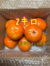 ✨✨ 明日発送！ ✨✨  　＊訳あり＊　送料無料