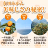 紀伊路屋 和歌山有田産 温州みかん(訳ありご家庭用)3kg～10kg