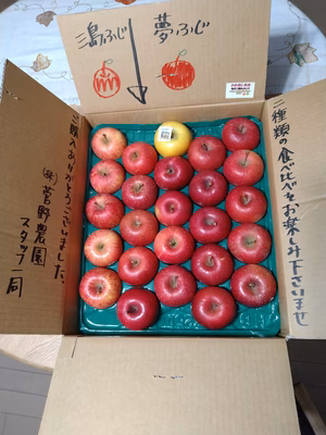 みんなの投稿の画像