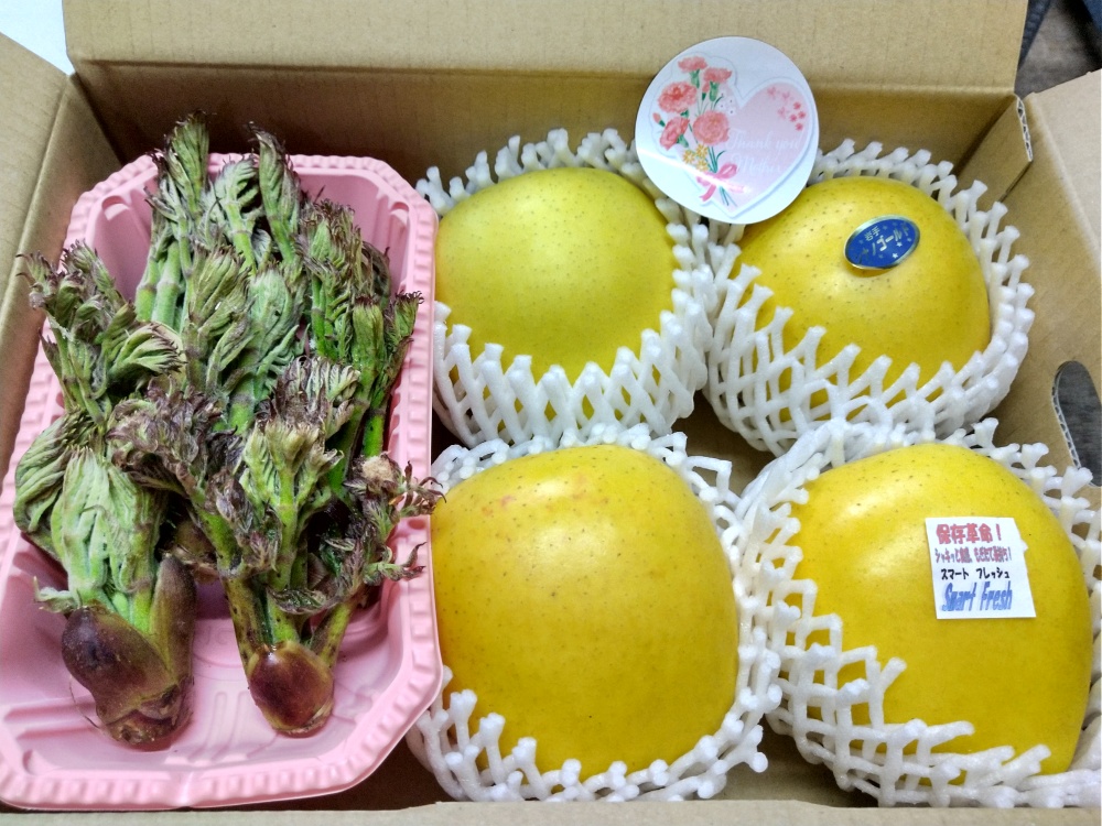 '26春満喫 シャキシャキ✨りんご&タラの芽セット 1箱(りんご3〜4個+タラの芽150g)