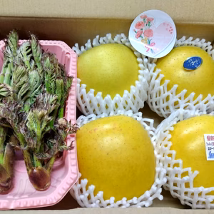 春満喫 シャキシャキ✨りんご&タラの芽セット