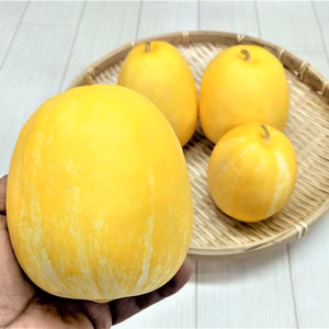 【おすすめ商品】さっぱりした夏の甘さ！まくわうり　栽培期間中農薬不使用