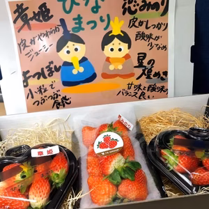 【ひなまつり限定】　イチゴ3品種食べ比べセット
