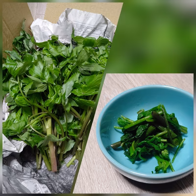 みんなの投稿の画像