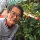 川島 寛 | 石垣イチゴ かねとよ川島農園