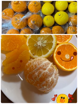 みんなの投稿の画像