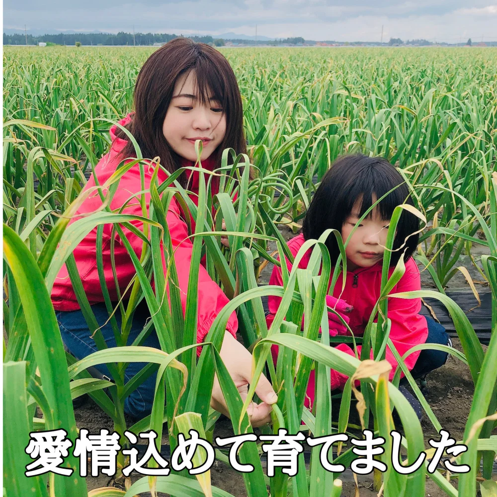 【月300セット即完売✨】大人気！まるでお芋！日本一の青森ミネラルにんにくバラ